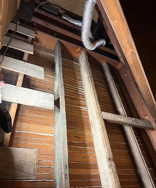 Attic Clean Out in Renton 
